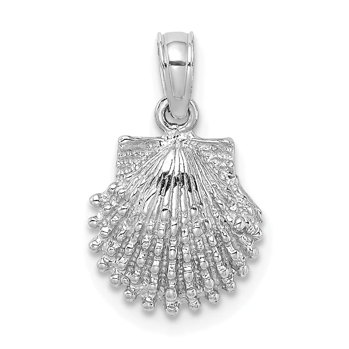 14k White Gold Soild Polished Textured Finish Scallop Shell Charm Pendant